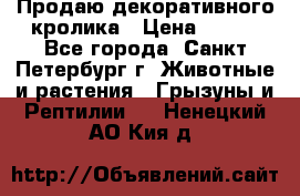 Продаю декоративного кролика › Цена ­ 500 - Все города, Санкт-Петербург г. Животные и растения » Грызуны и Рептилии   . Ненецкий АО,Кия д.
